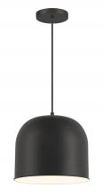Minka-Lavery 6202-66A - 1 Light Pendant