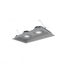 Nora NMRT3-2RL330FSS - Two-Head Flanged LED Multiple Lighting Trim, 2500lm per Head w/ Flood Optic, 3000K, Regressed Silver