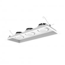 Nora NMRT3-3RL330NWW - Three-Head Flanged LED Multiple Lighting Trim, 2500lm per Head w/ Narrow Flood Optic, 3000K,