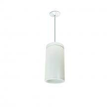 Nora NYLD2-6P075130WWW4 - 6" Cobalt Pendant Mount Cylinder, White, 750L, 3000K, White/White Reflector, 120V