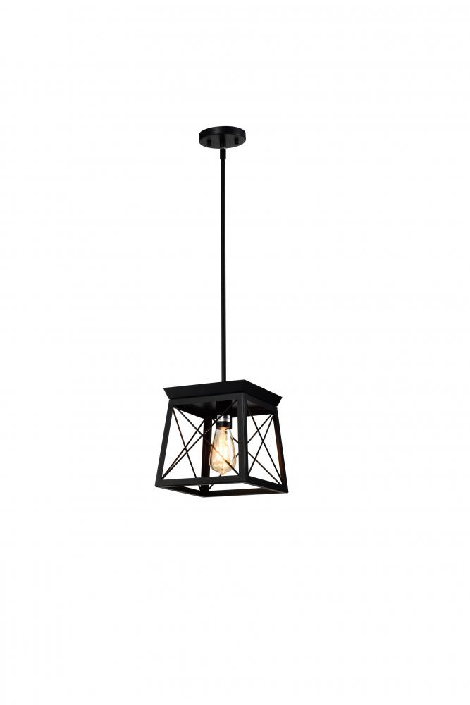 9" 1x60 W Mini Pendant in Black finish with 1 black -medium base soket. Dual Mount as Pendant