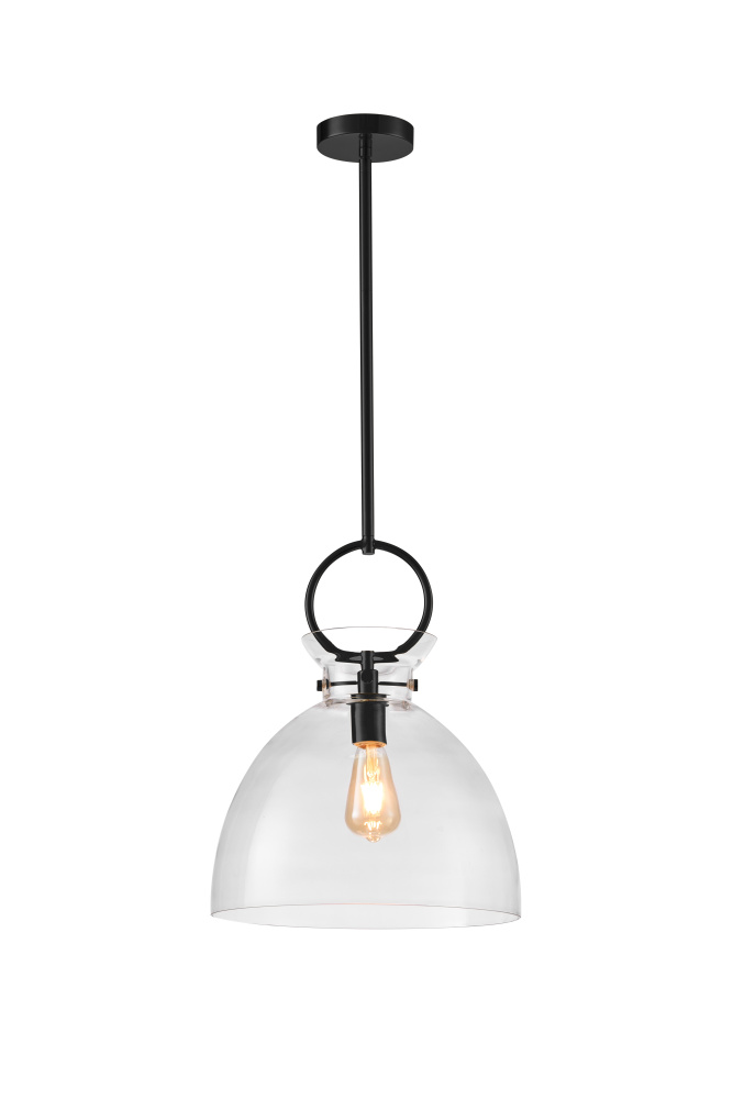 Stanley Pendant Black Finish with Clear Glass