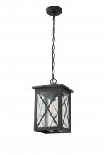 Lit Up Lighting LIT73132BK-CL - 13" Outdoor Chain Hung Pendant in Black Finish with clear glass, with 3Ft chain,1xE26