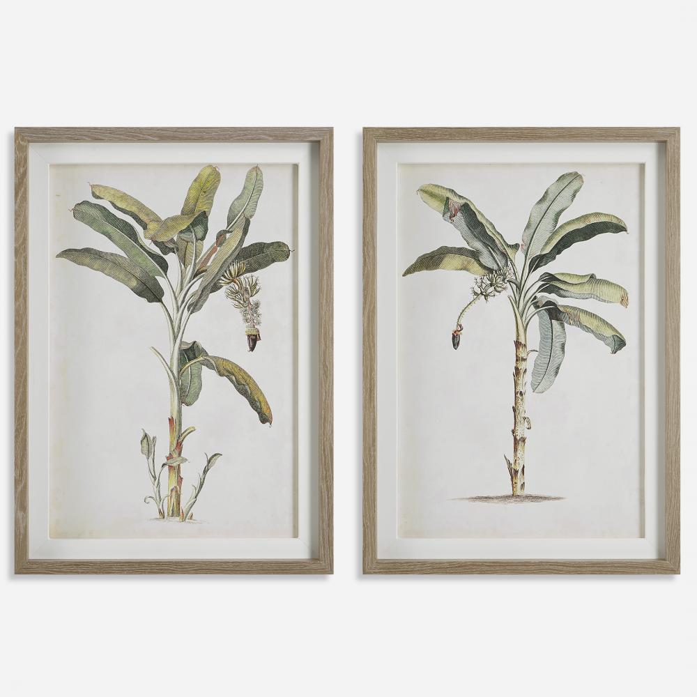Uttermost Banana Palm Framed Prints, S/2
