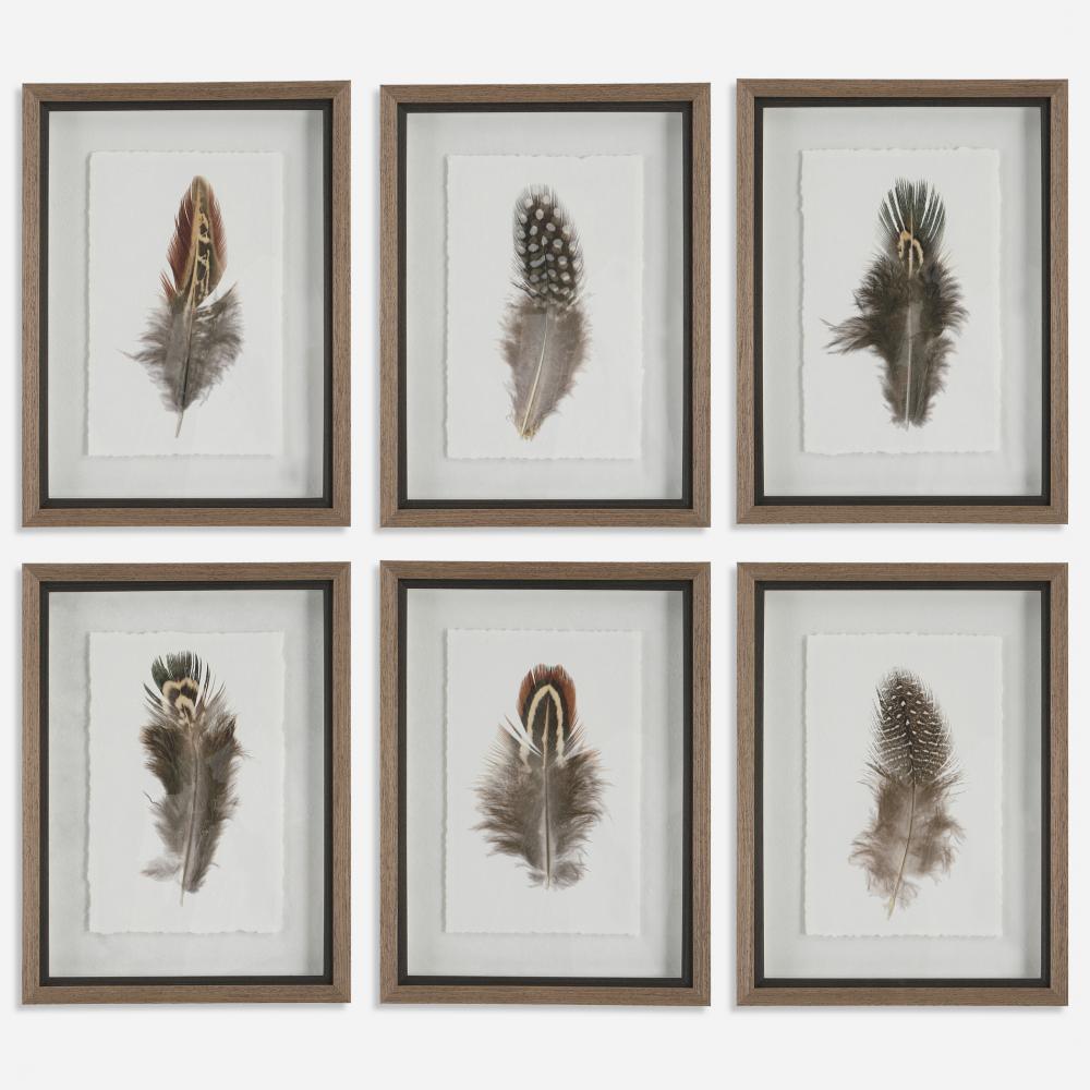 Uttermost Birds Of A Feather Framed Prints Set/6