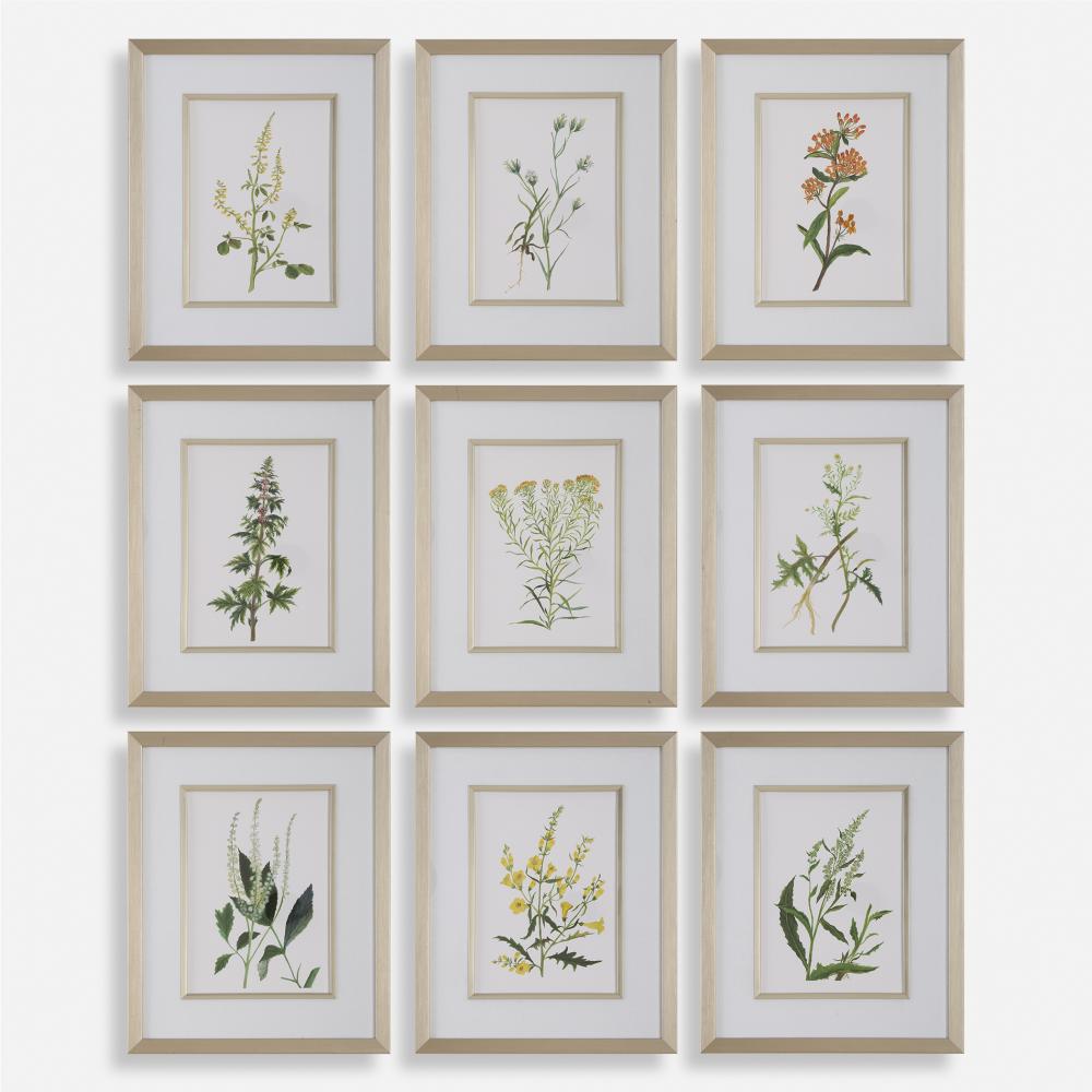 Uttermost Botanical Flowers Framed Prints Set/9
