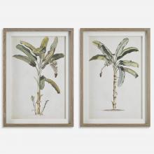 Uttermost 41446 - Uttermost Banana Palm Framed Prints, S/2
