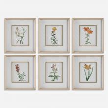 Uttermost 32284 - Uttermost Classic Botanicals Framed Prints, S/6