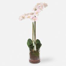 Uttermost 60196 - Uttermost Blush Orchid