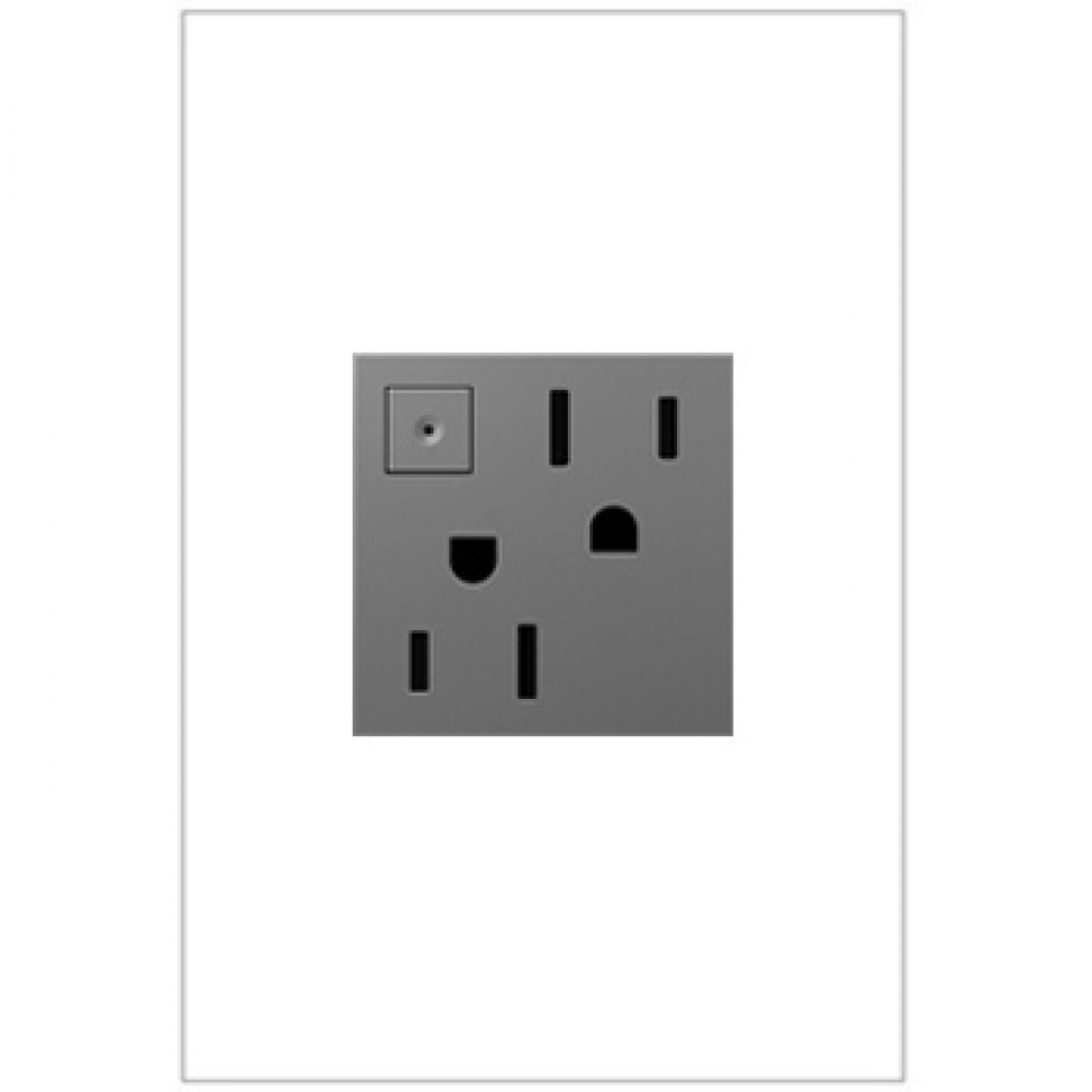 adorne 15A Energy-Saving On/Off Outlet, Magnesium