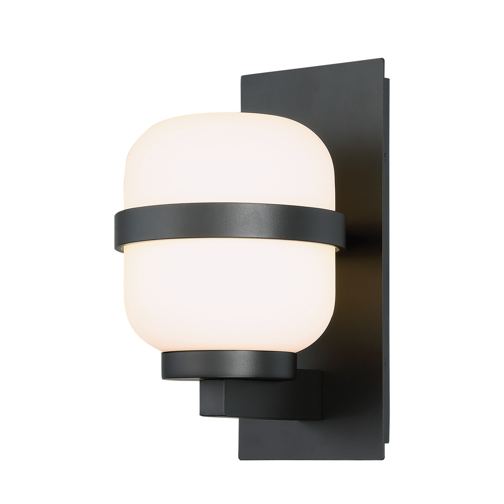 Gaia 12in LED Outdoor Wall Light 3000K in Black