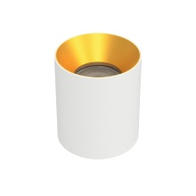 WAC US C4RL-FCS-WTGL - Zoron Round Flush Mount