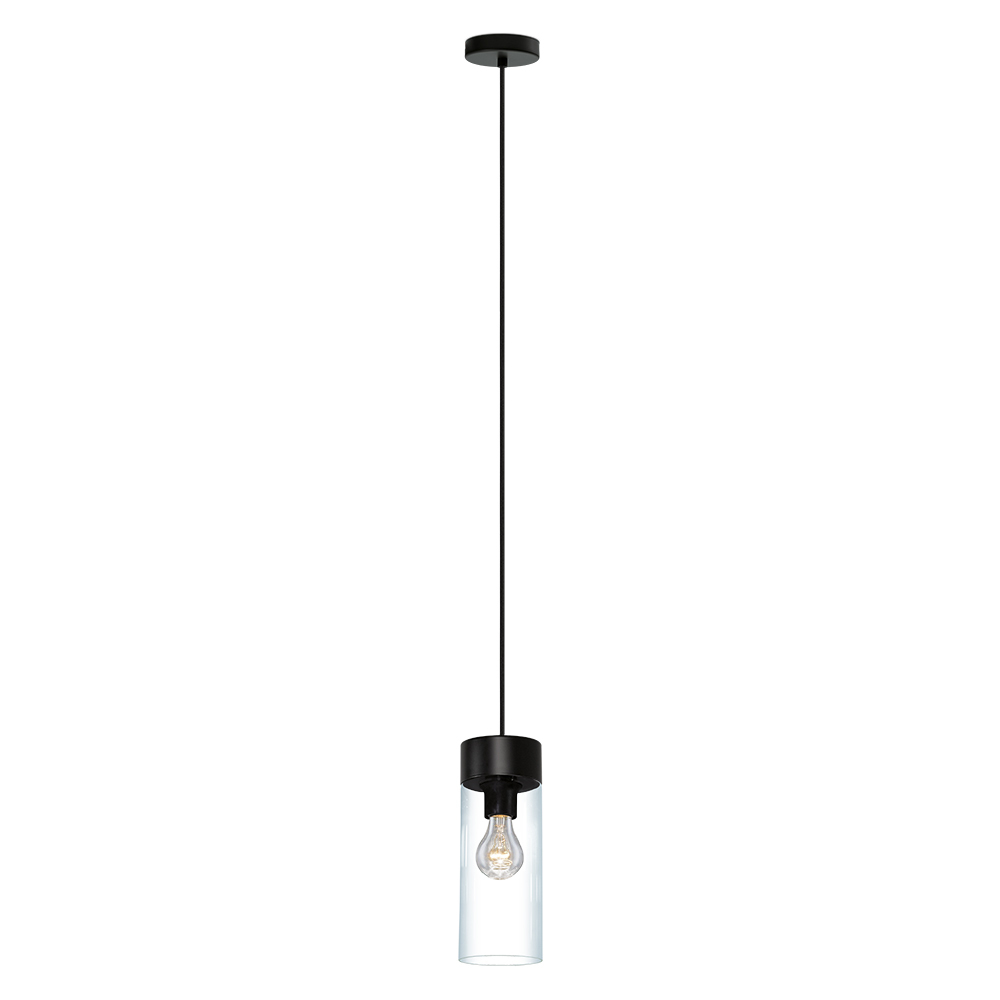 1L Pendant Light