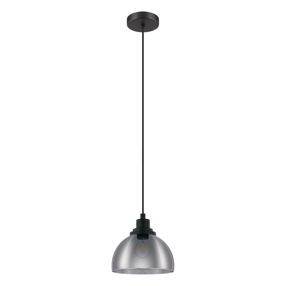 1L Pendant Light