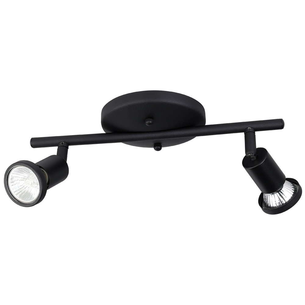 2L Track Light