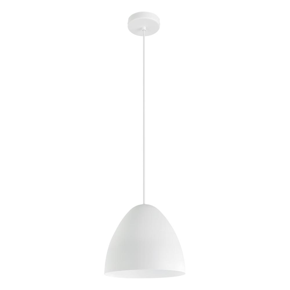 1L Pendant Light