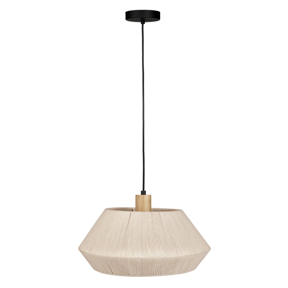1L Pendant Light