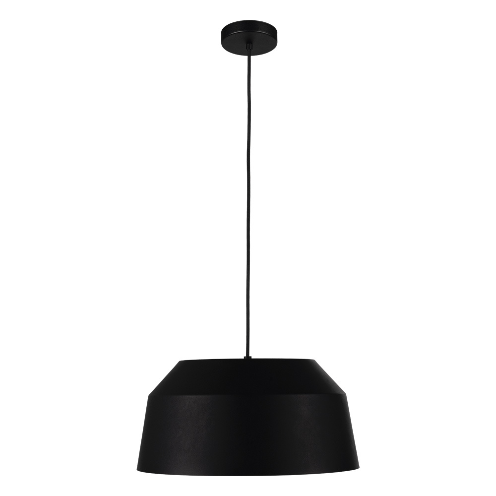 1L Pendant Light