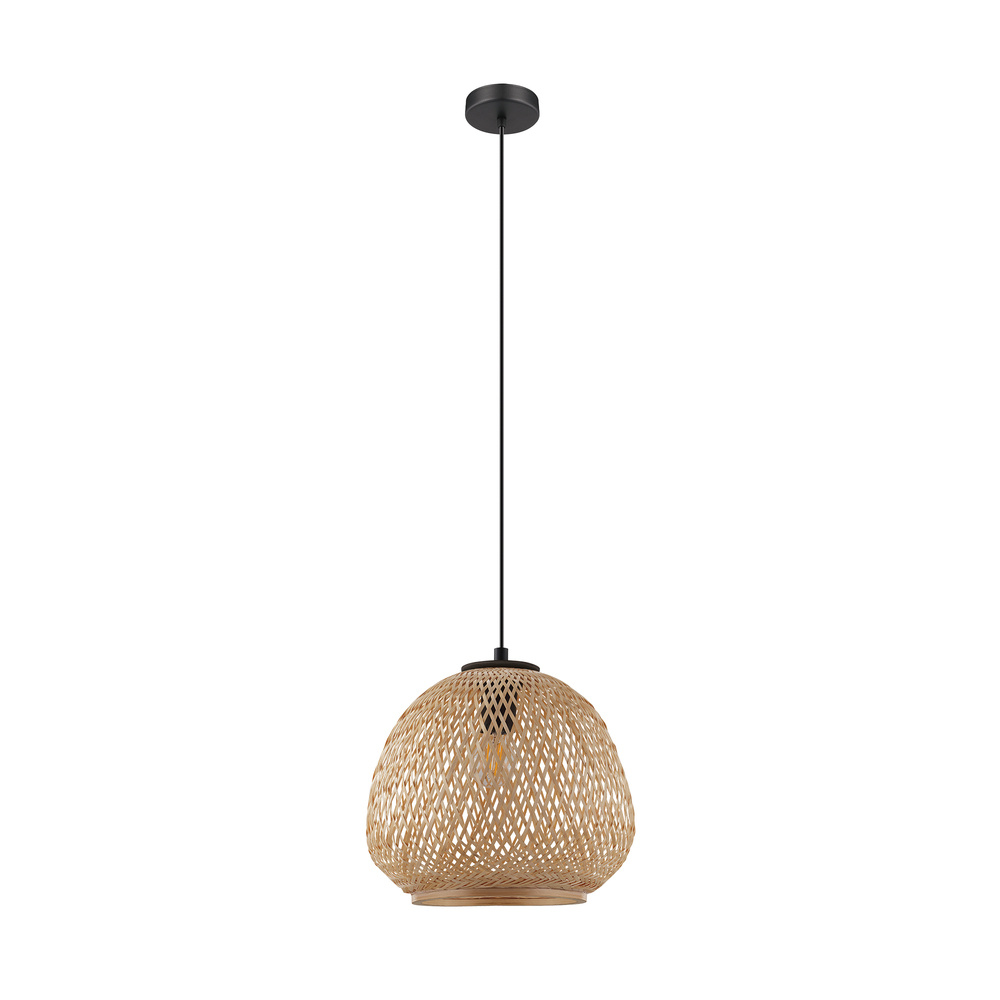 1L Pendant Light