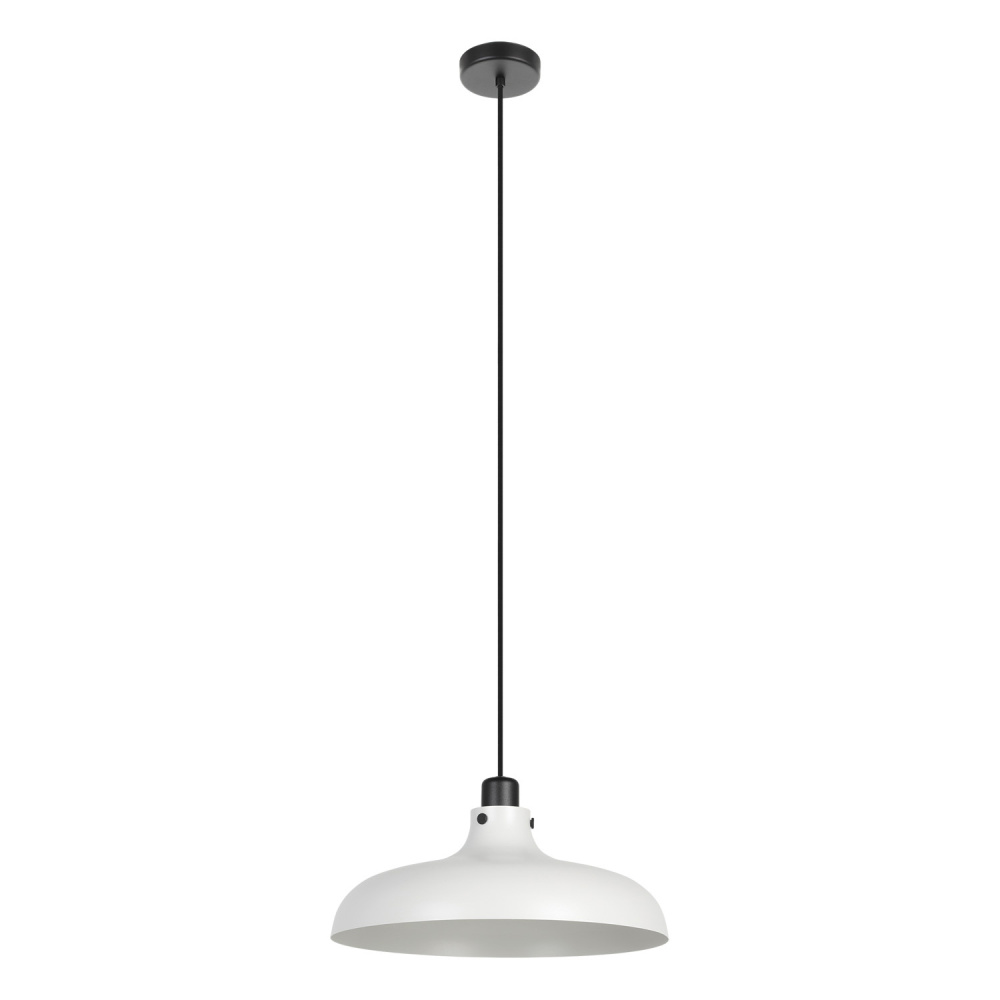 1L Pendant Light
