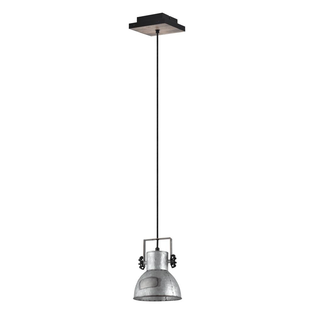 1L Pendant Light