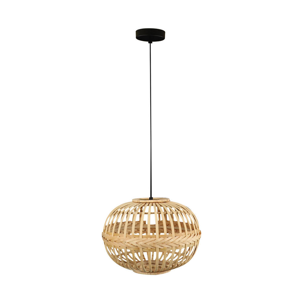 1L Pendant Light