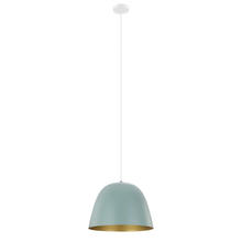 Eglo 204079A - 1L Pendant Light