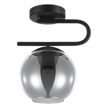 Eglo 204335A - 1 LT Ceiling Light w/ Matte Black Finish &  Smoked Glass Shade