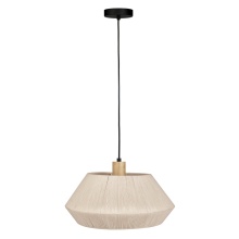Eglo 205763A - 1L Pendant Light