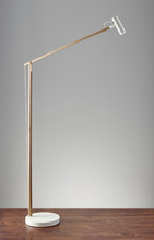 Adesso AD9101-12 - Crane LED Floor Lamp