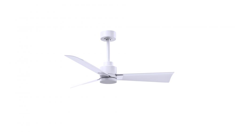 Alessandra - 42" Three Blade Transitional Ceiling Fan - Matte White Finish - Matte White Blades