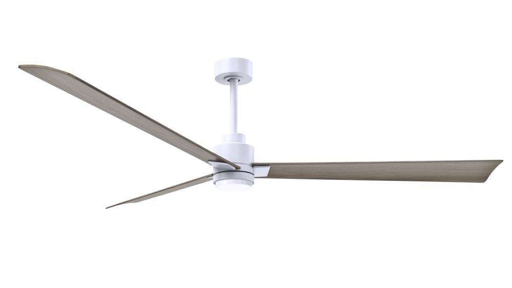 Alessandra - 72" Three Blade Transitional Ceiling Fan - 5CCT Integrated LED - Matte White Finish