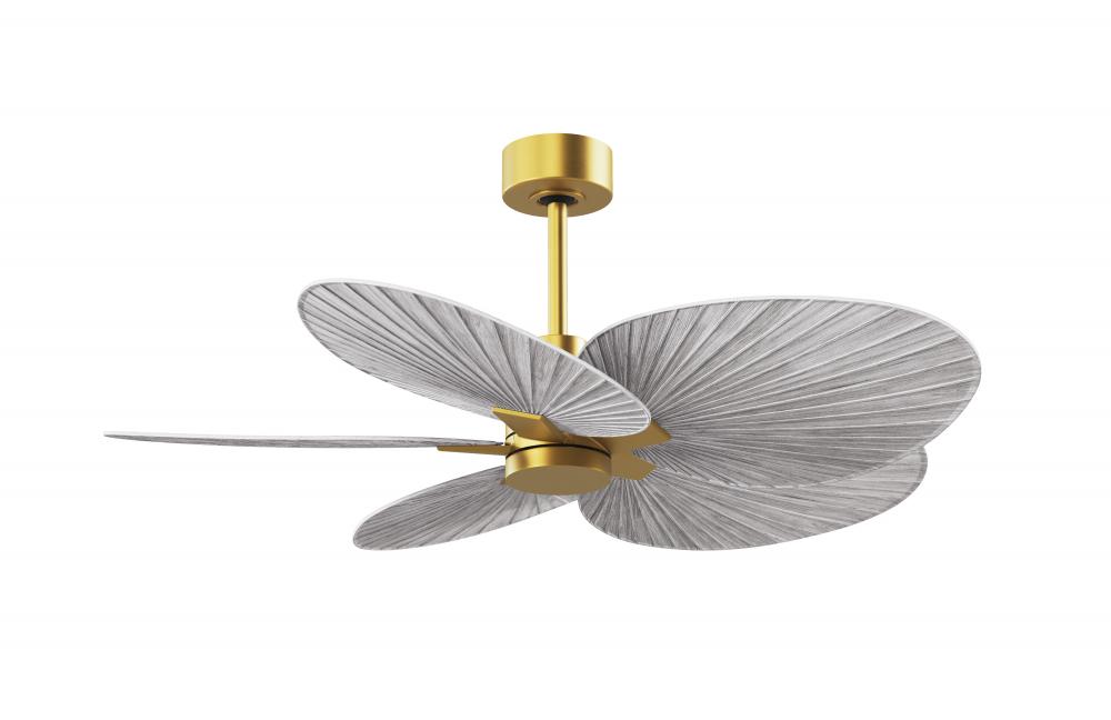 Alessandra Tropical - Five Blade Ceiling Fan - Brushed Brass Finish - Barn Wood Tone Blades