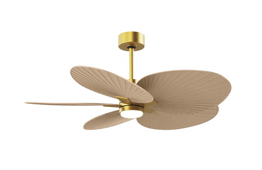 Alessandra Tropical - Five Blade Ceiling Fan - 5CCT Integrated LED - Brushed Brass Finish