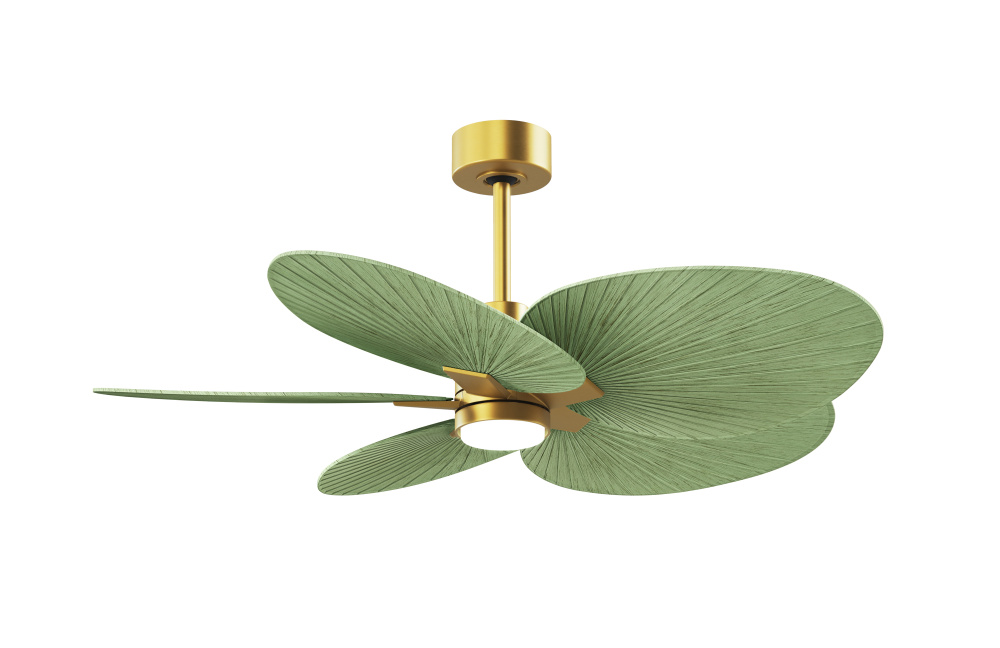 Alessandra Tropical - Five Blade Ceiling Fan - 5CCT Integrated LED - Brushed Brass Finish