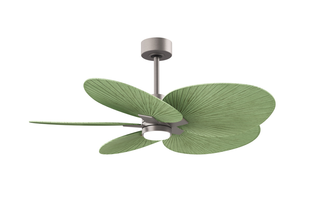 Alessandra Tropical - Five Blade Ceiling Fan - 5CCT Integrated LED - Matte White Finish