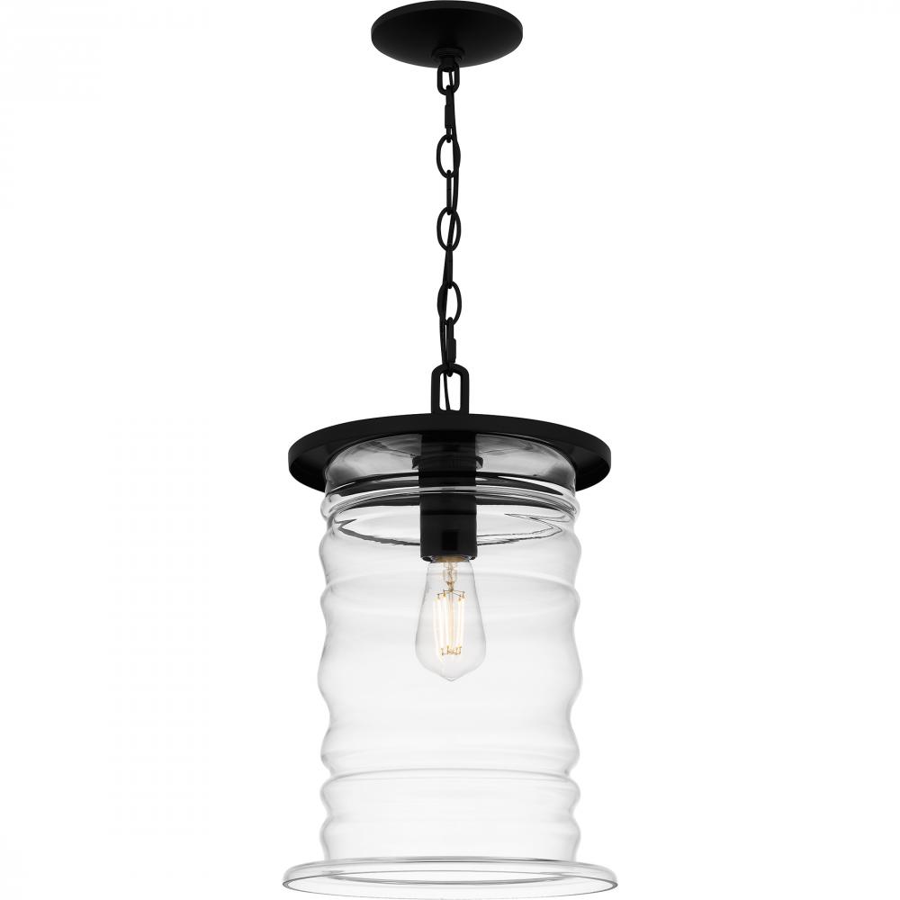 Noland 1-Light Matte Black Outdoor Hanging Lantern