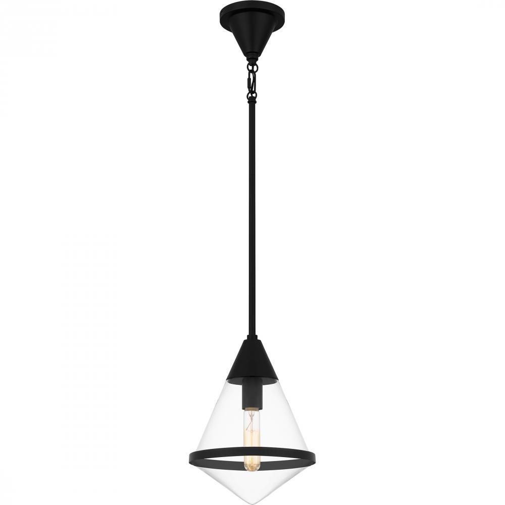 Hidalgo 1-Light Matte Black Mini Pendant Light