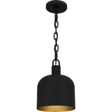 Quoizel QPP6206MBK - Raquel 1-Light Matte Black Mini Pendant Light