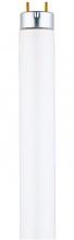 Westinghouse 3601500 - 28W T8 Linear Fluorescent Cool White Medium BiPin Base, Sleeve