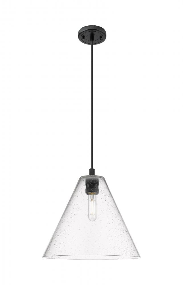 Crown Point - 1 Light - 12 inch - Matte Black - Pendant