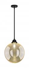 Innovations Lighting 288-1S-BK-G208-12 - Beacon - 1 Light - 12 inch - Matte Black - Stem hung - Mini Pendant