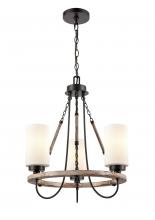Innovations Lighting 442-3CR-BK-W-LED - Paladin - 3 Light - 19 inch - Matte Black - Chain Hung - Mini Chandelier