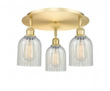 Innovations Lighting 516-3C-SG-G2511 - Caledonia - 3 Light - 17 inch - Satin Gold - Semi-Flush Mount