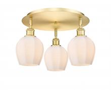 Innovations Lighting 516-3C-SG-G461-6 - Norfolk - 3 Light - 18 inch - Satin Gold - Semi-Flush Mount
