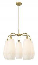Innovations Lighting 516-5CR-BB-G681-7 - Windham - 5 Light - 25 inch - Brushed Brass - Chandelier