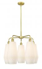 Innovations Lighting 516-5CR-SG-G681-7 - Windham - 5 Light - 25 inch - Satin Gold - Chandelier