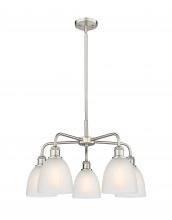 Innovations Lighting 516-5CR-SN-G381 - Castile - 5 Light - 24 inch - Satin Nickel - Chandelier