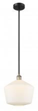 Innovations Lighting 616-1S-BAB-G651-12 - Cindyrella - 1 Light - 12 inch - Black Antique Brass - Stem hung - Mini Pendant