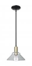 Innovations Lighting 716-1S-BAB-G132 - Orwell - 1 Light - 8 inch - Black Antique Brass - Stem hung - Mini Pendant